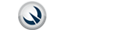 Websense TRITON Logo