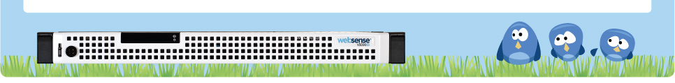 Websense V10000