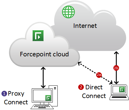 Proxy endpoint. Forcepoint. Forcepoint вирус. Forcepoint one Endpoint что это. Direct connect cloud.